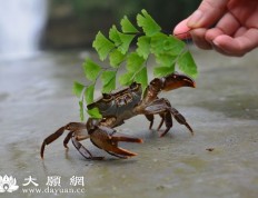 放生小感應,堅定我和妻子放生的信心(二)