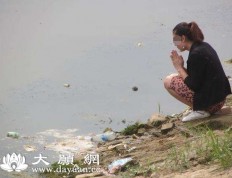 我的放生奇遇 - 引導我們全傢信佛的真實故事